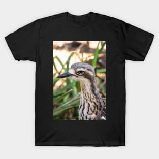 Close up of bush stone curlew bird. T-Shirt